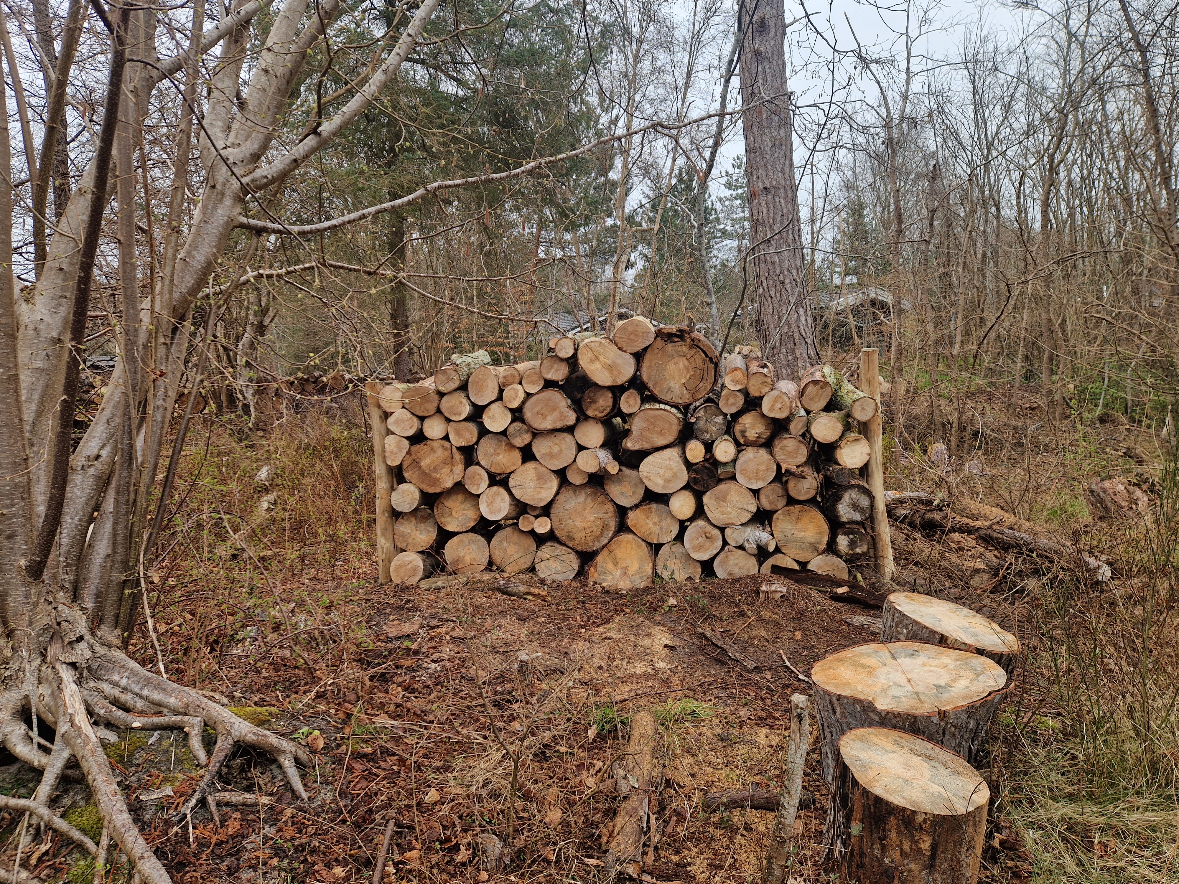 permakultur - Brændevæg