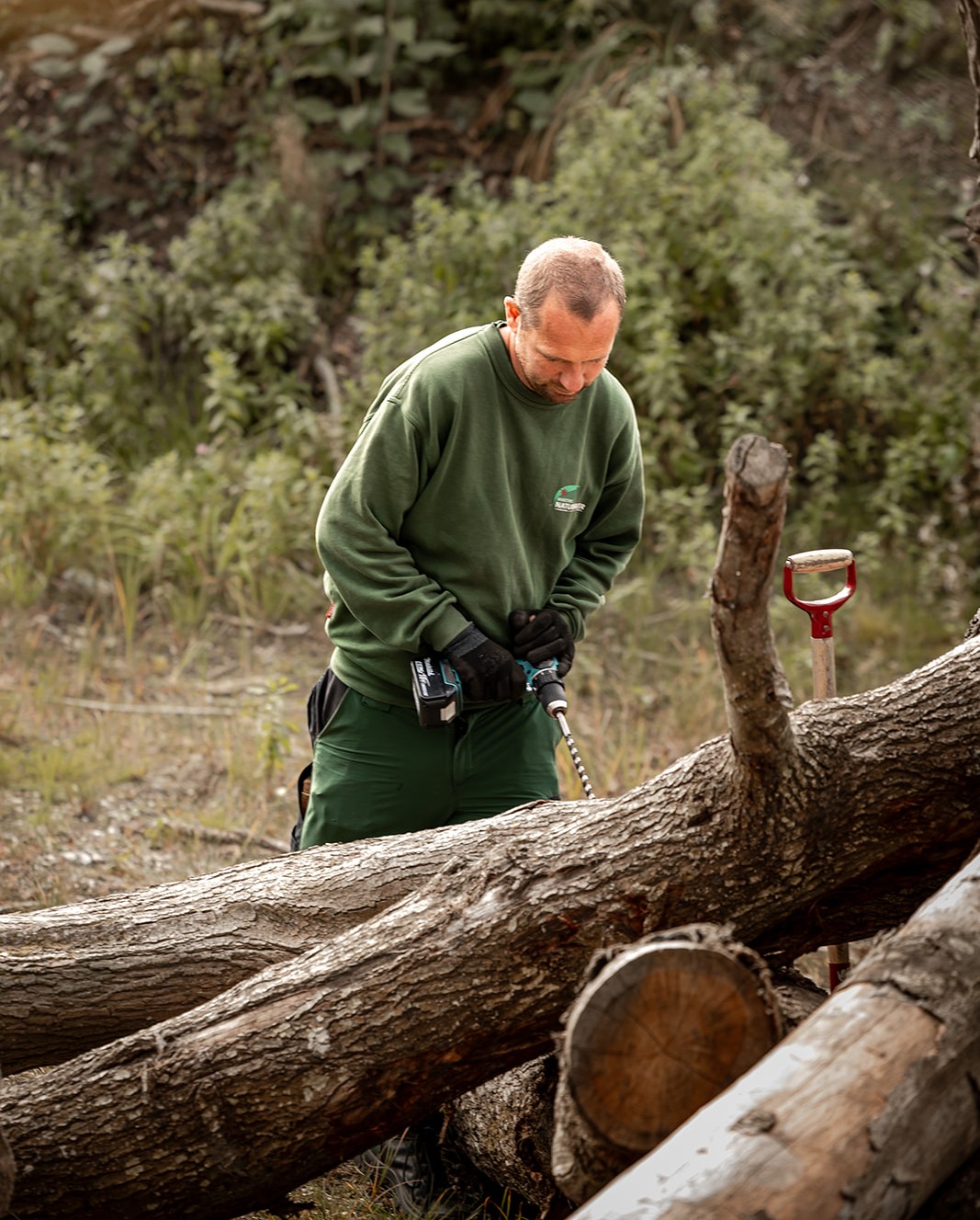 observer og interager med naturen