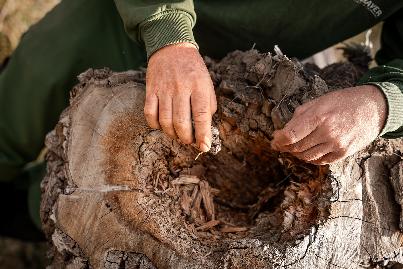 anlægning af skovhave