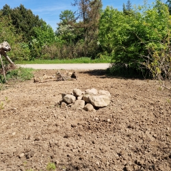naturhave