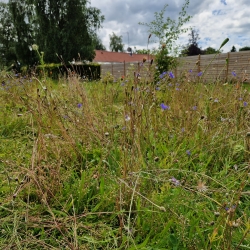Naturhave