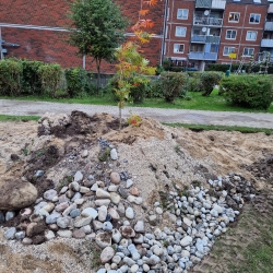 permahave nyt liv og stenstruktur
