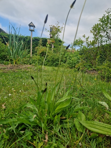 Naturhave