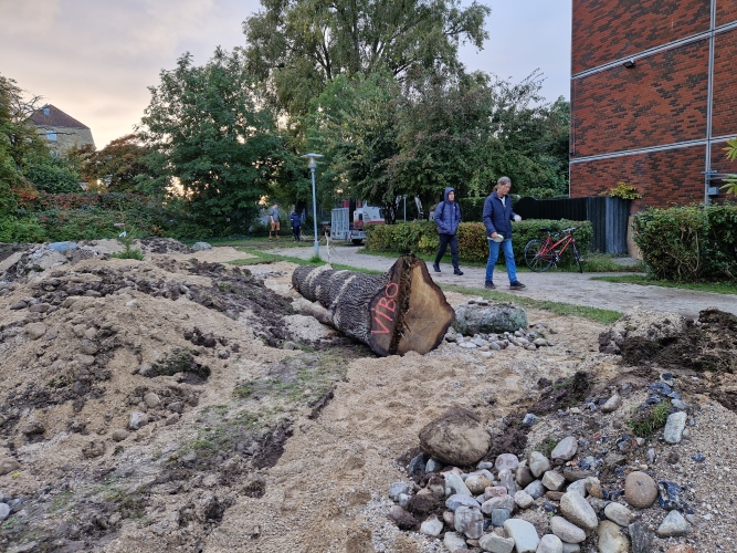 permahave hugelbed under anlæg