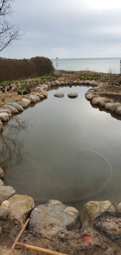permahave ny beplantning i permakultureng