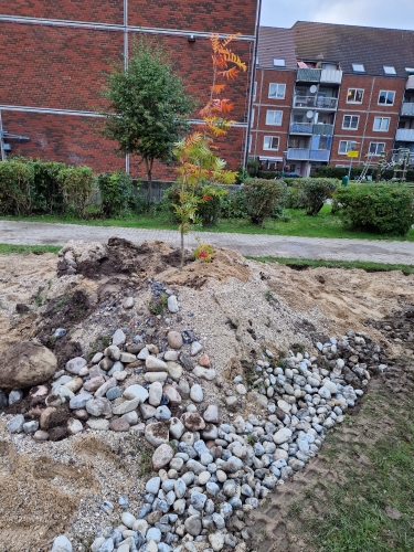 permahave nyt liv og stenstruktur