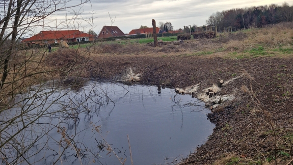 Vandhul omgivet af løvfald og krat med åbent område langs kanten.