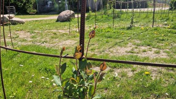 Naturhave