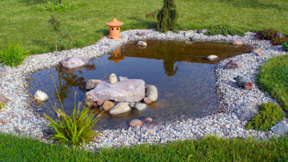 Naturhave med vand